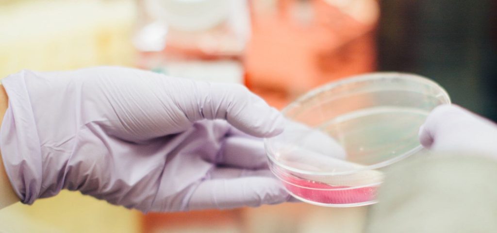 Biology Bachelor of Science | How to Get Into College and ...