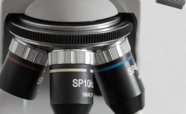 microscope tool for biology masters programs